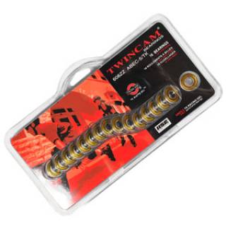 Подшипники Twincam ABEC5 (16шт)